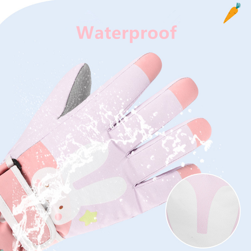 Gants de Ski de neige d'hiver  - Snow Glove Insulated avis et prix